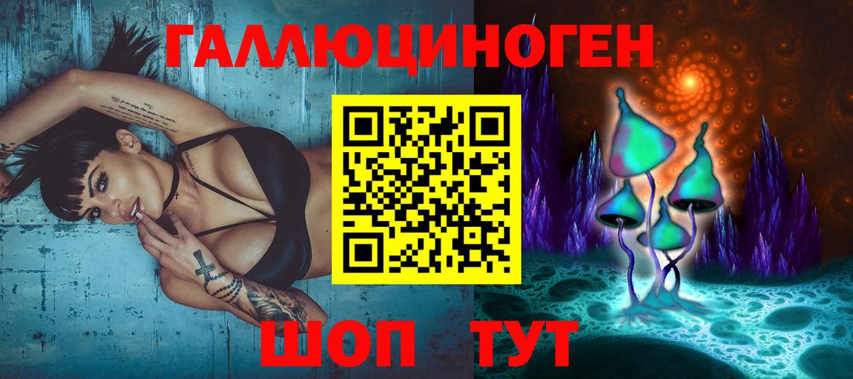Галлюциногенные грибы Psilocybine cubensis Волгоград