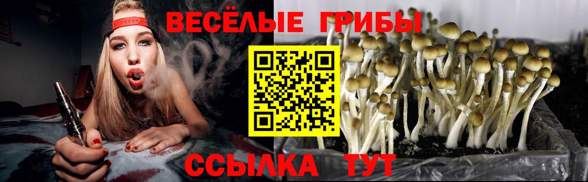 Волгоград  Псилоцибиновые грибы ЛСД  Вход с VPN 